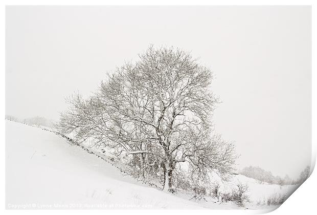 Snowy Tree Print by Lynne Morris (Lswpp)