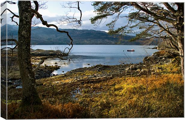 Sheltered Bay of Loch Sunart Canvas Print by Jacqi Elmslie