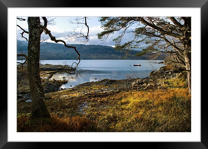 Sheltered Bay of Loch Sunart Framed Mounted Print by Jacqi Elmslie