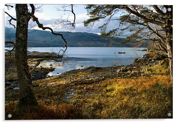 Sheltered Bay of Loch Sunart Acrylic by Jacqi Elmslie