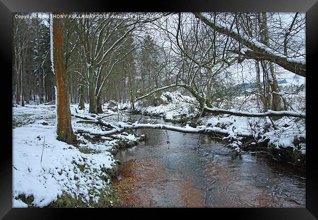 NEW FOREST STREAM SNOW SCENE Framed Print by Anthony Kellaway