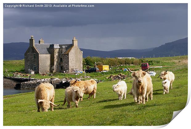 Highland Cattle on Skye Print by Richard Smith