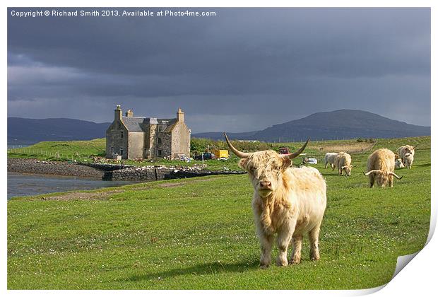 Highland cattle at Ardmore Print by Richard Smith