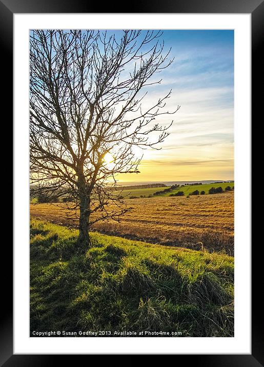 Sunset View From Kithurst Hill, Sussex Framed Mounted Print by Susan Godfrey
