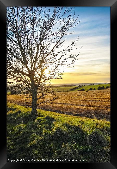 Sunset View From Kithurst Hill, Sussex Framed Print by Susan Godfrey