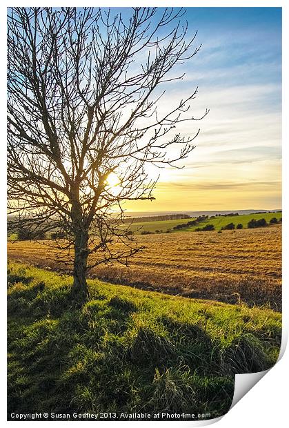 Sunset View From Kithurst Hill, Sussex Print by Susan Godfrey