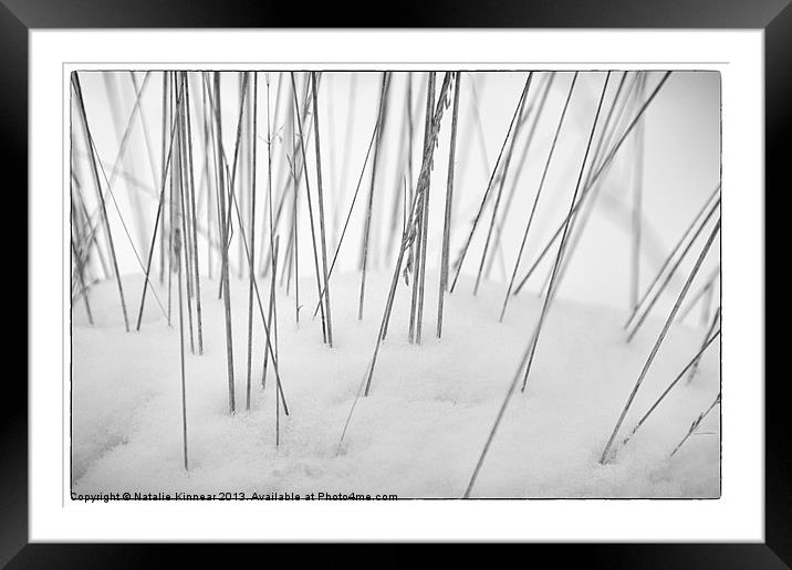 Grasses in the Snow Framed Mounted Print by Natalie Kinnear
