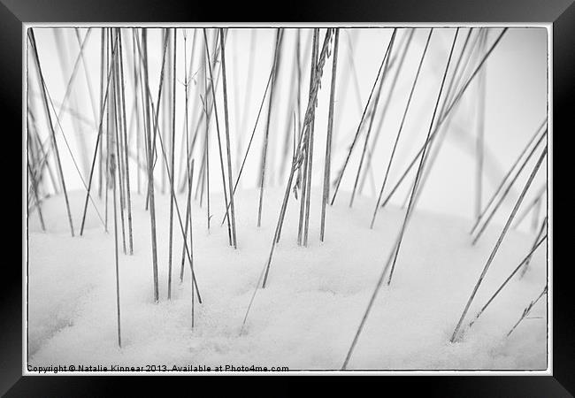 Grasses in the Snow Framed Print by Natalie Kinnear