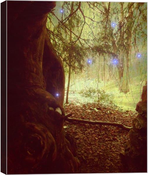 Ice - Star Woods. Canvas Print by Heather Goodwin