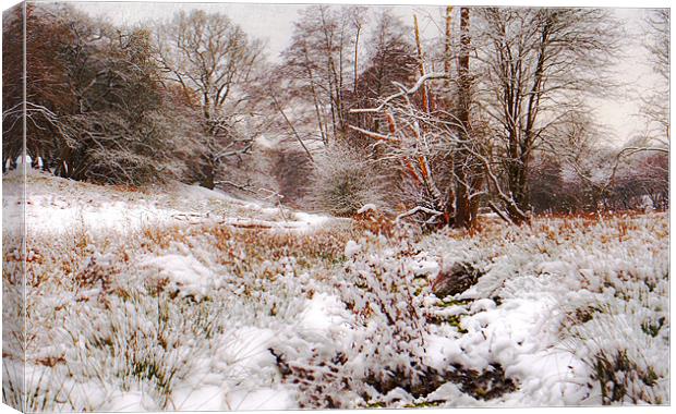 snowfall in kent Canvas Print by Dawn Cox