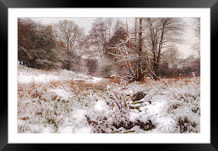 snowfall in kent Framed Mounted Print by Dawn Cox