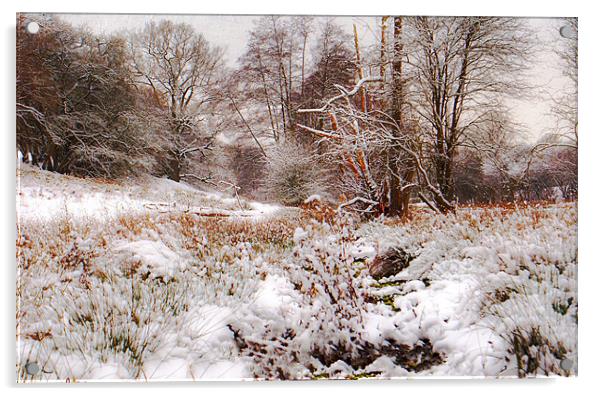 snowfall in kent Acrylic by Dawn Cox