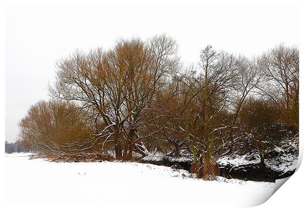 snowy tree view Print by caren chapman