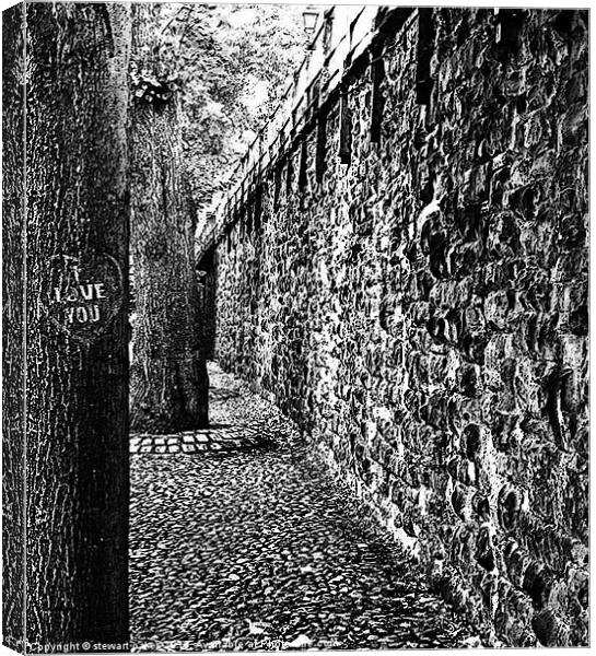 Chester collection - B&W 2 Canvas Print by stewart oakes