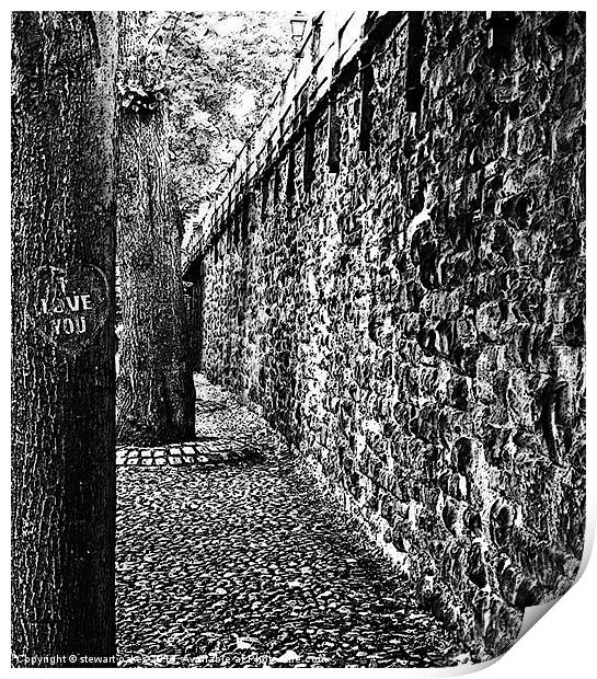 Chester collection - B&W 2 Print by stewart oakes
