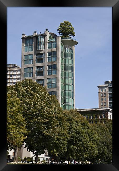 The Euginia Building Framed Print by George Davidson