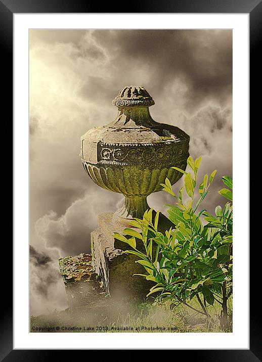 The Chalice Framed Mounted Print by Christine Lake