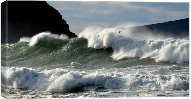 Swell coming in to Clogher beach Canvas Print by barbara walsh