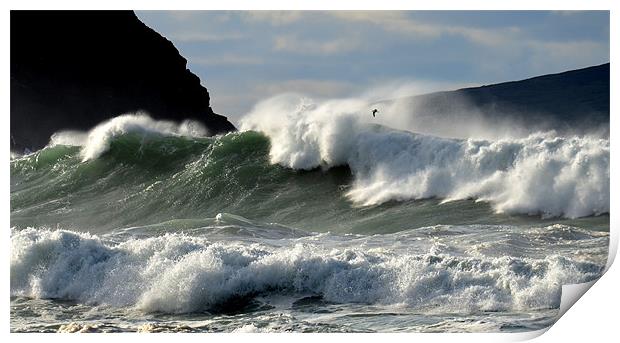 Swell coming in to Clogher beach Print by barbara walsh