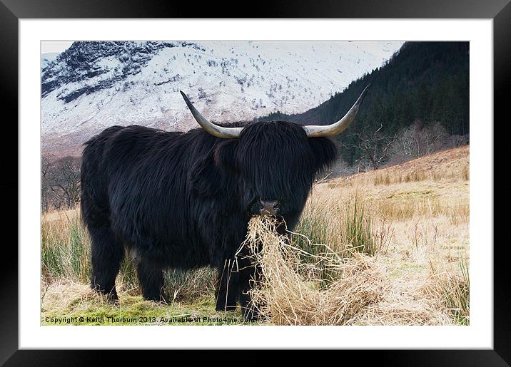 The Bull Framed Mounted Print by Keith Thorburn EFIAP/b
