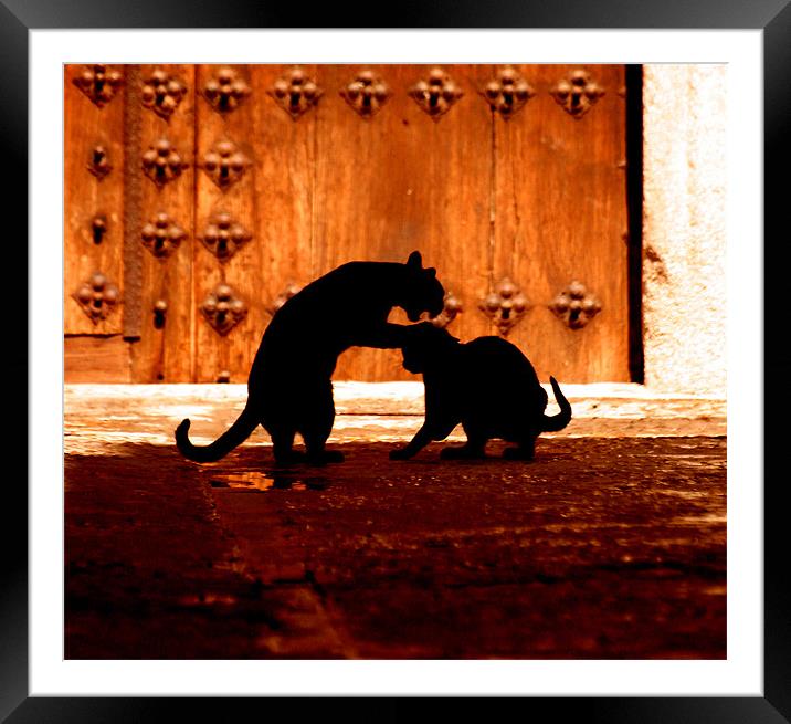 Les Chats Noirs Framed Mounted Print by Brian O'Dwyer