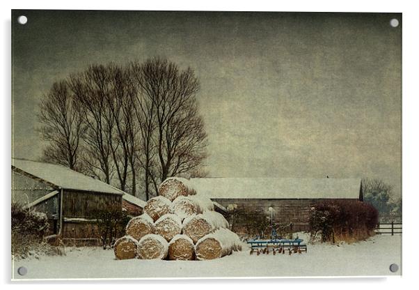 Hay bales in the snow Acrylic by Stephen Mole