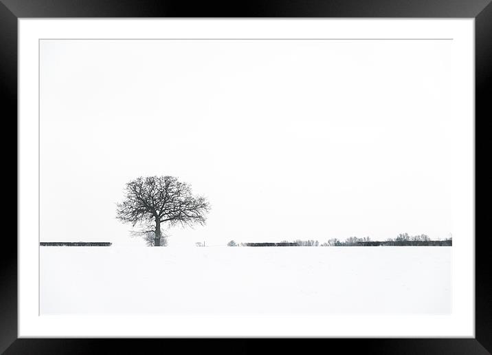 Tree in the snow Framed Mounted Print by Stephen Mole