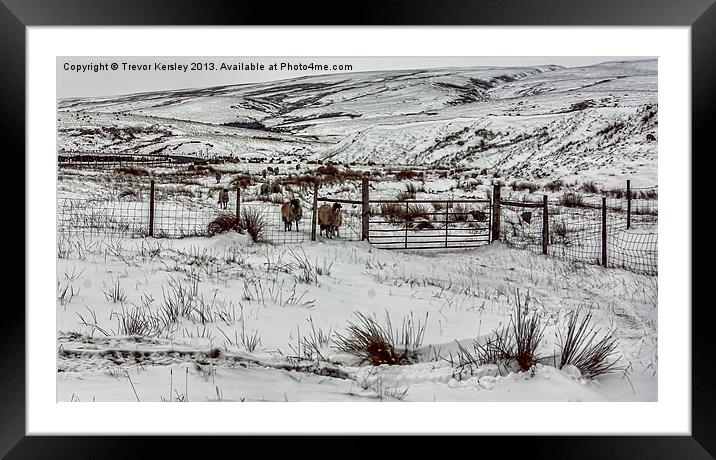 Winter in the Dales Framed Mounted Print by Trevor Kersley RIP