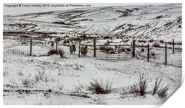 Winter in the Dales Print by Trevor Kersley RIP