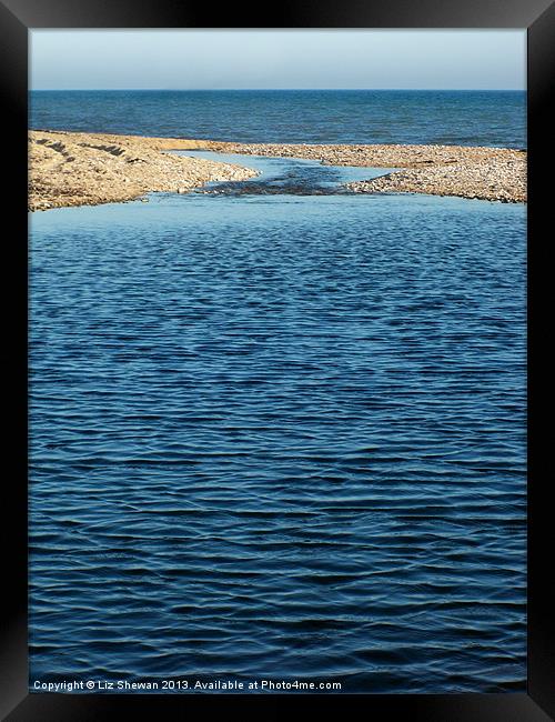 Jurassic Coast Waterway Framed Print by Liz Shewan