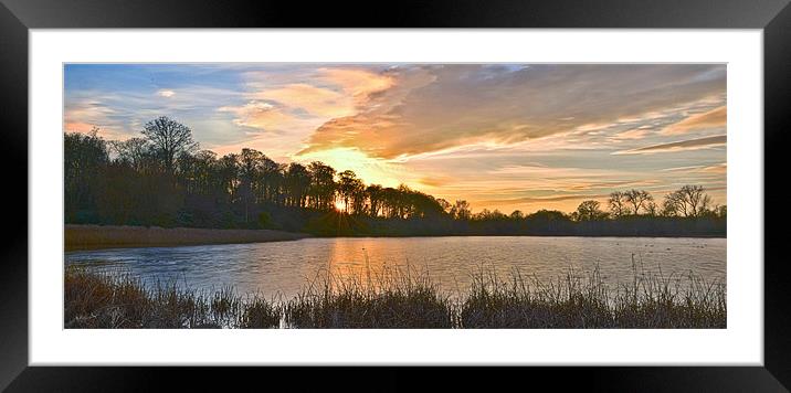 Wollaton park HDR Framed Mounted Print by Tom Reed
