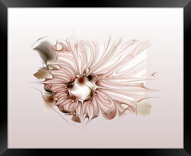 Pink Satin Framed Print by Amanda Moore