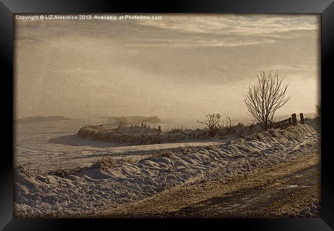 Winters Way - Scotland Framed Print by LIZ Alderdice
