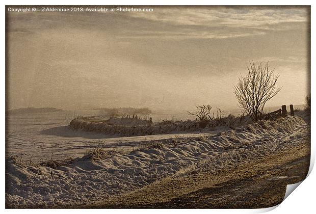 Winters Way - Scotland Print by LIZ Alderdice
