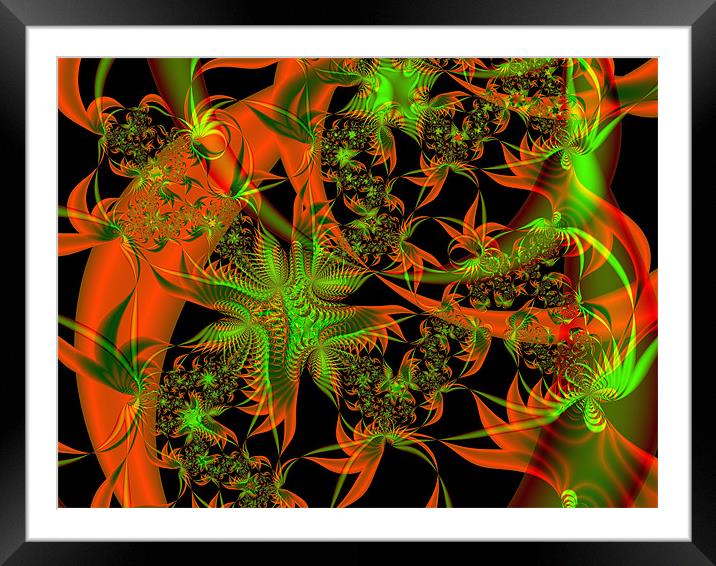 Flowers and Leaves Framed Mounted Print by Julie Coe