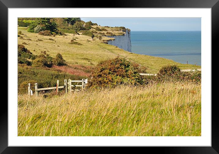 Dover white Cliffs Walk Framed Mounted Print by Diana Mower