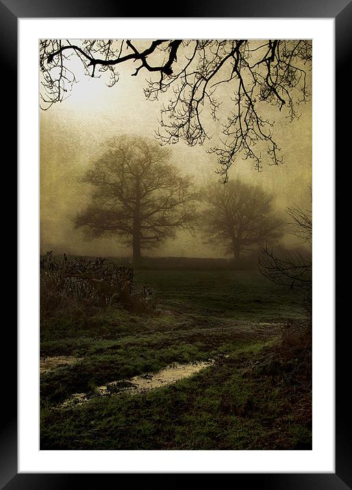 Through the mist Framed Mounted Print by Dawn Cox