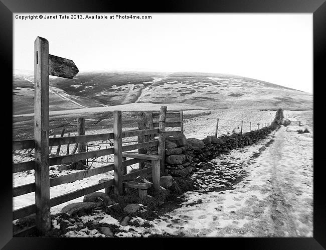 Lake District Path Framed Print by Janet Tate