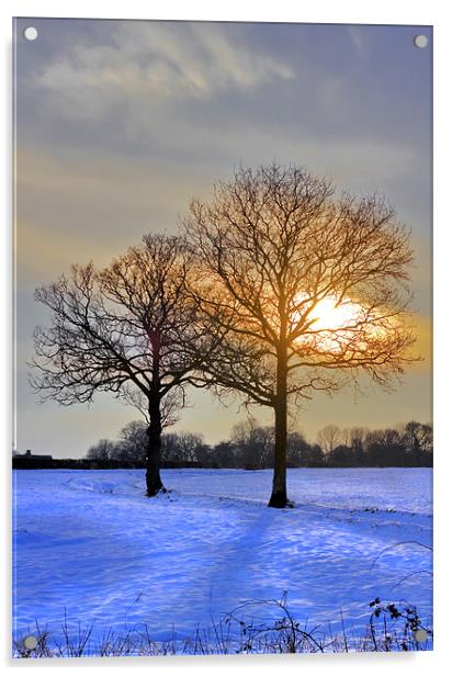 Winter landscape. Acrylic by Darren Burroughs