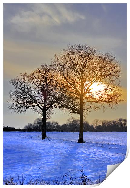 Winter landscape. Print by Darren Burroughs