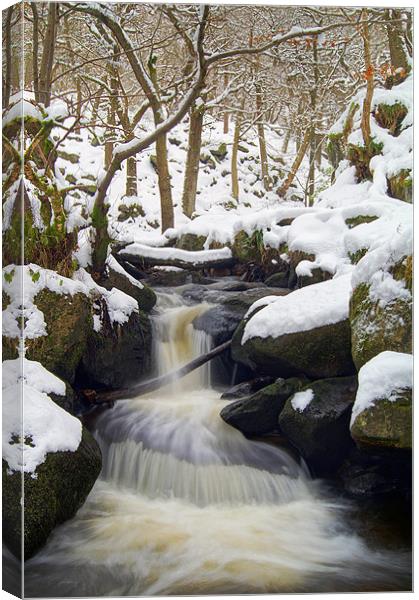 Winter In Padley Gorge Canvas Print by Darren Galpin