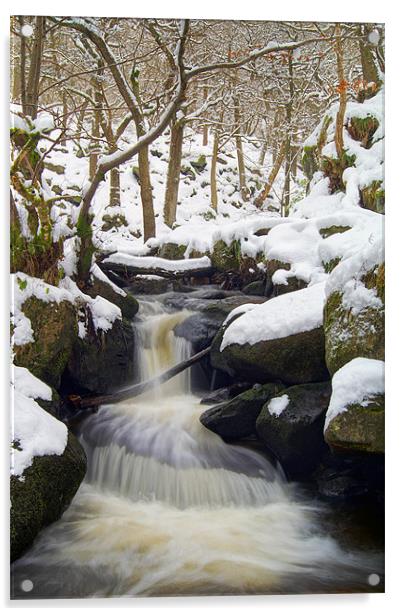 Winter In Padley Gorge Acrylic by Darren Galpin