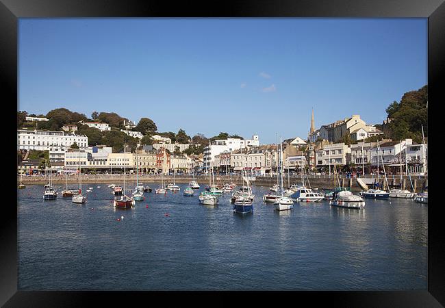 Tranquiliy, Torquay Harbour Framed Print by Philip Berry