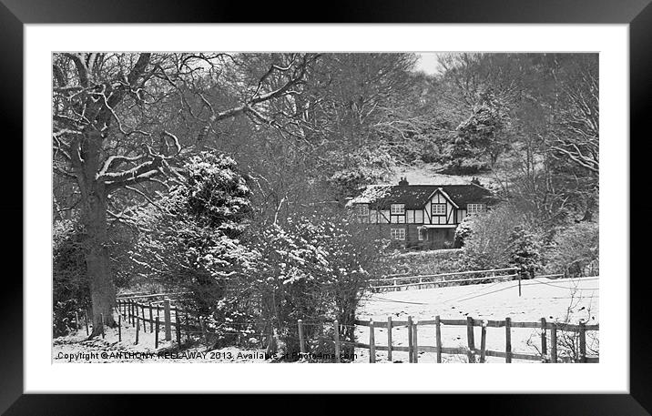 NEW FOREST SNOW SCENE Framed Mounted Print by Anthony Kellaway