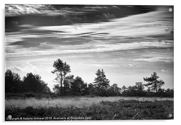 Ashdown Forest in Black and White Acrylic by Natalie Kinnear