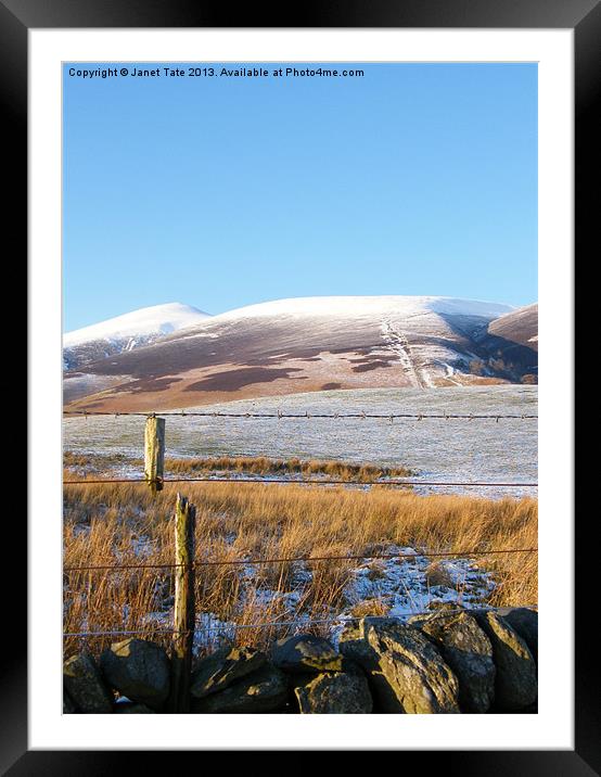 Snow capped Skiddaw Framed Mounted Print by Janet Tate