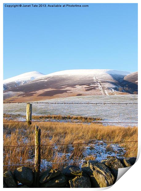Snow capped Skiddaw Print by Janet Tate