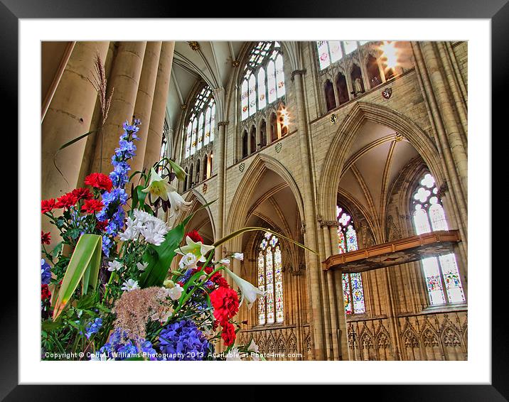 Flowers York Minster Framed Mounted Print by Colin Williams Photography