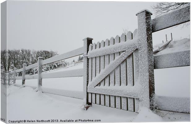 Snow Covered Gate Canvas Print by Helen Northcott
