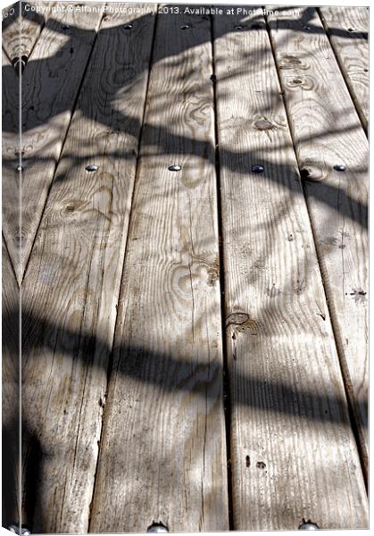 Wooden shadows Canvas Print by Alfani Photography